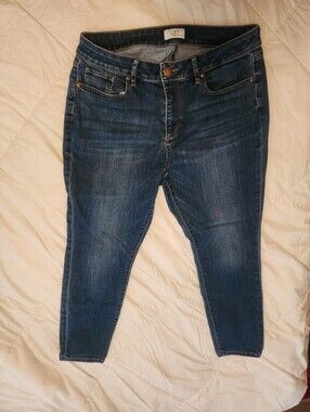 Loft Petite 12 Skinny Jeans